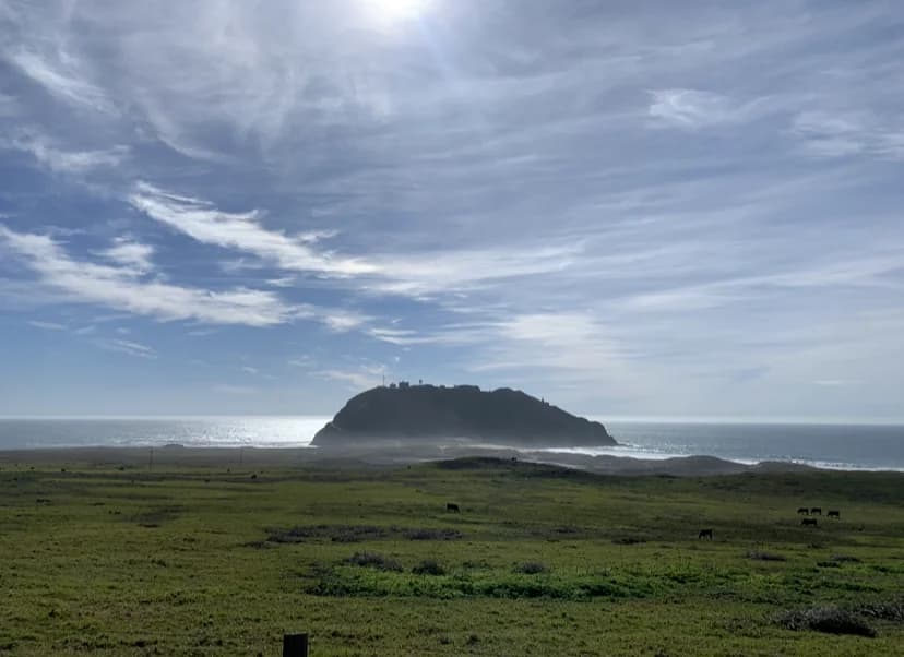 Open California coastal landscape with ocean and grassy shoreline