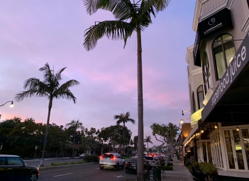 Palm-lined California business street at dusk